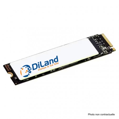 DiLand - Disque dur NVMe M.2 de 500GB (logiciel chargé) pour Kiosk KD23